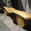 Leylandi bench with solid legs 2